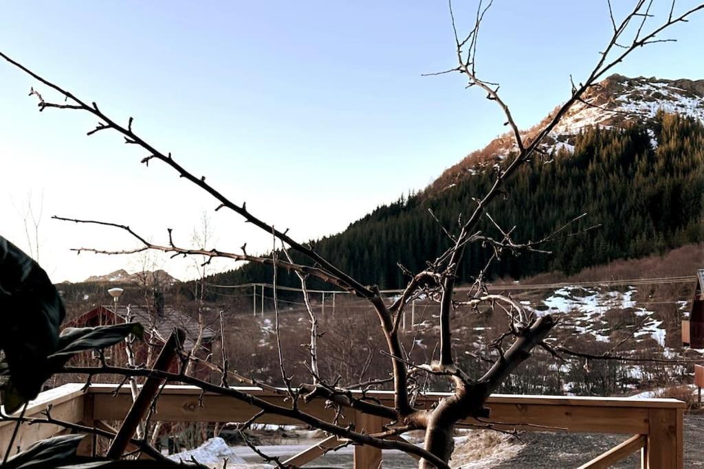 Ett Roms Leilighet Vestvagoy Gravdal (Vestvagoy) Exterior foto
